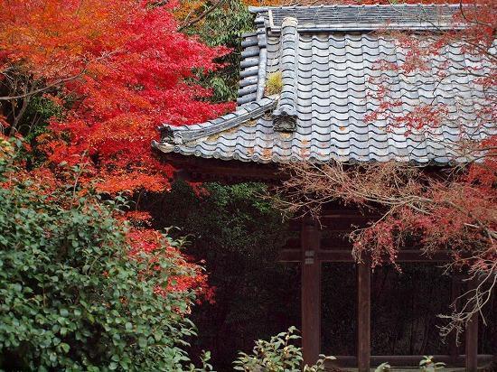 Guest House Hana Otsu Exterior foto